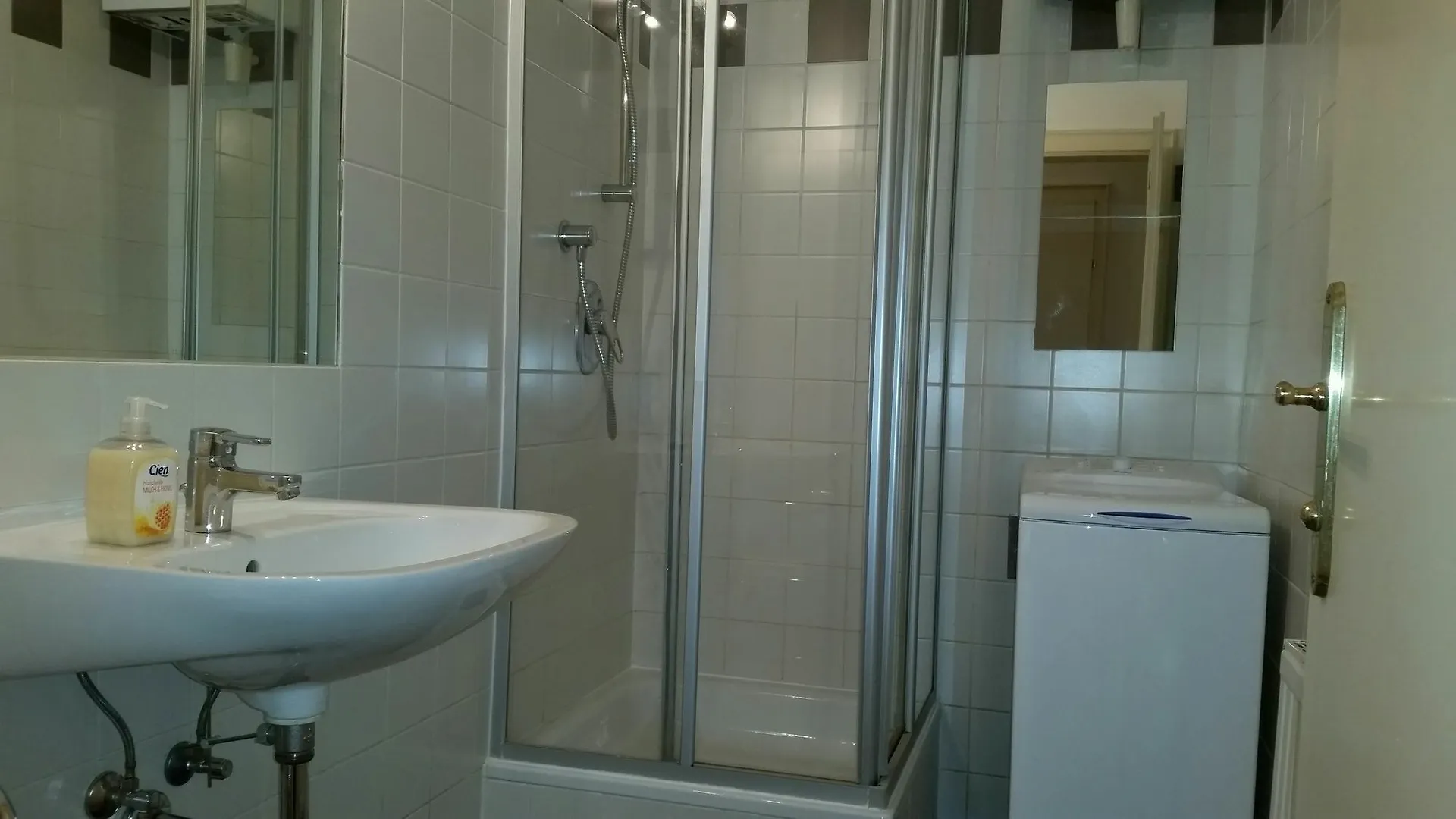 Goldfisch Apartment Am Donaukanal Viena Austria
